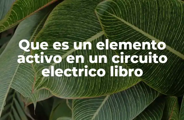 Que es un Elemento Activo en un Circuito Electrico Libro