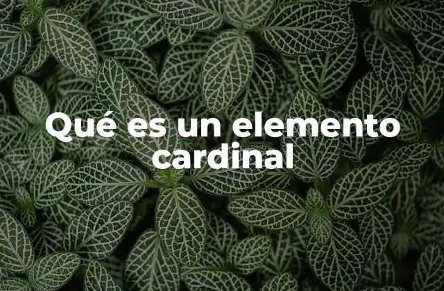 Qué es un Elemento Cardinal