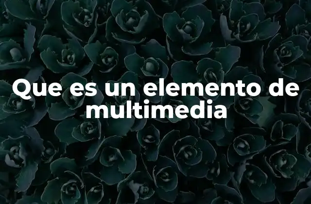 Que es un Elemento de Multimedia