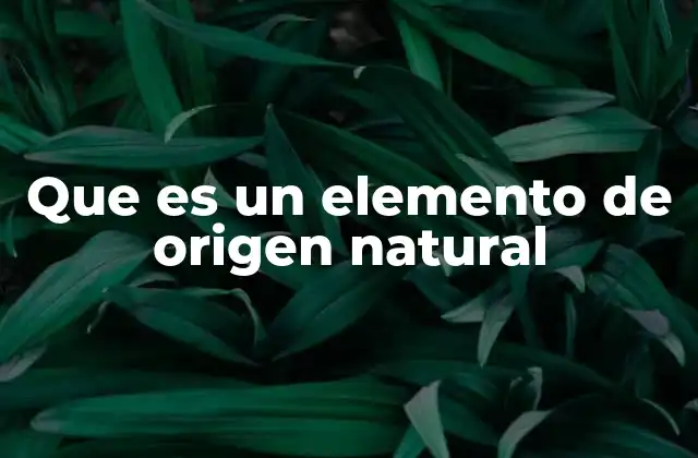Que es un Elemento de Origen Natural