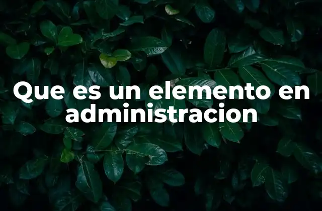 Que es un Elemento en Administracion