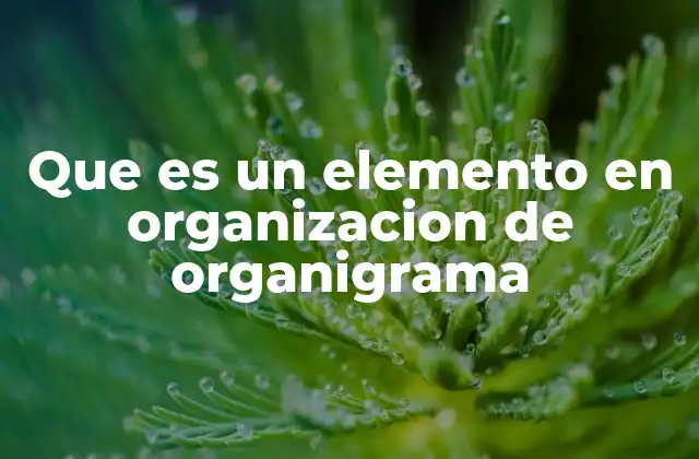 Que es un Elemento en Organizacion de Organigrama