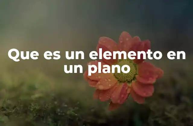 Que es un Elemento en un Plano