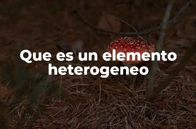 Que es un Elemento Heterogeneo