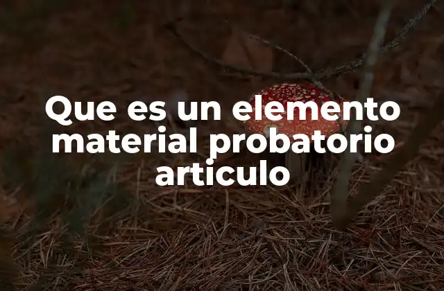 Que es un Elemento Material Probatorio Articulo