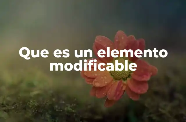 Que es un Elemento Modificable