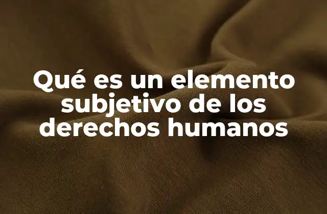 Qué es un Elemento Subjetivo de los Derechos Humanos