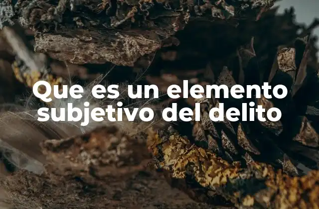 Que es un Elemento Subjetivo Del Delito