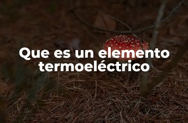 Que es un Elemento Termoeléctrico