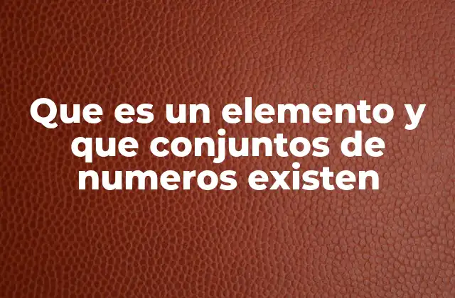 Que es un Elemento y que Conjuntos de Numeros Existen