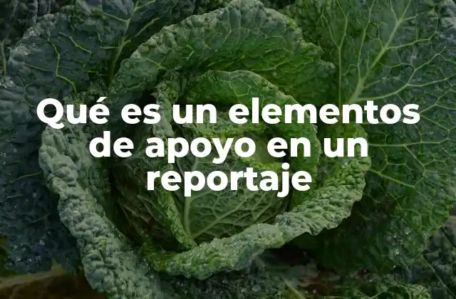 Qué es un Elementos de Apoyo en un Reportaje