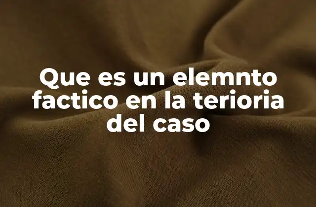 Que es un Elemnto Factico en la Terioria Del Caso