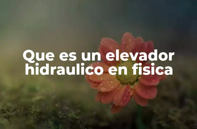 Que es un Elevador Hidraulico en Fisica