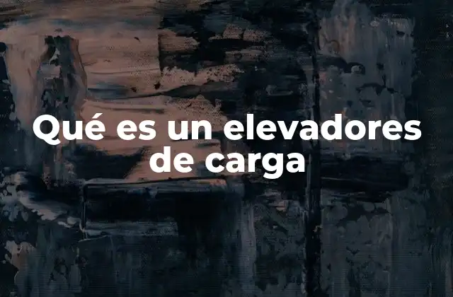 Qué es un Elevadores de Carga