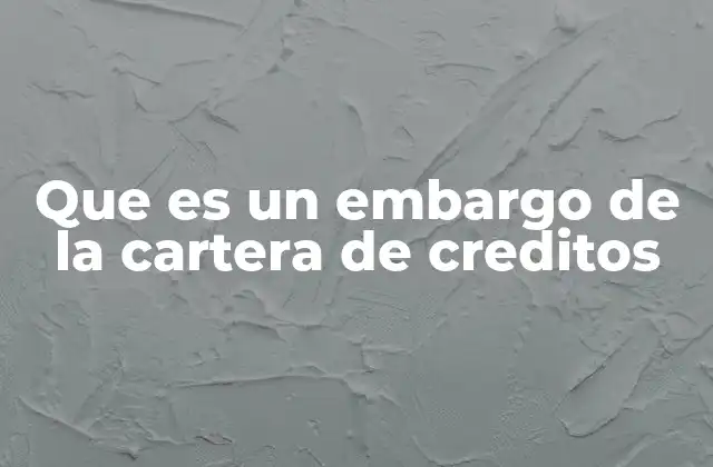 Que es un Embargo de la Cartera de Creditos
