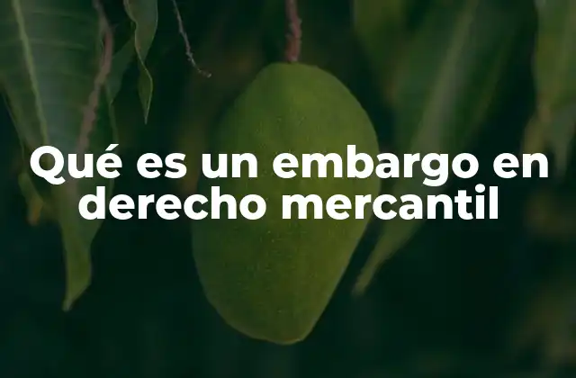 Qué es un Embargo en Derecho Mercantil