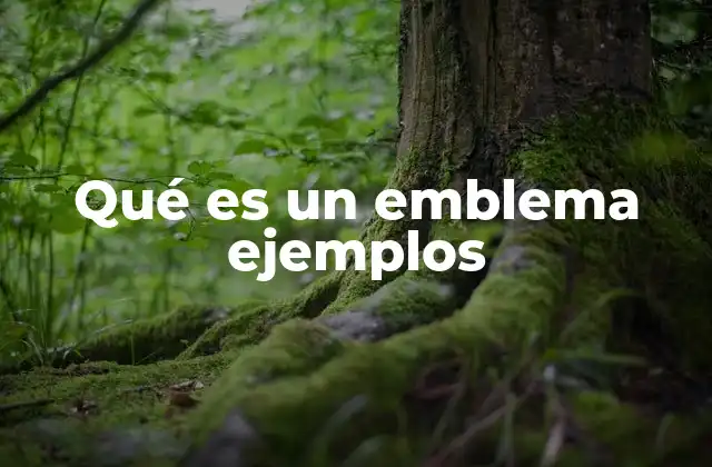 El emblema como símbolo de identidad