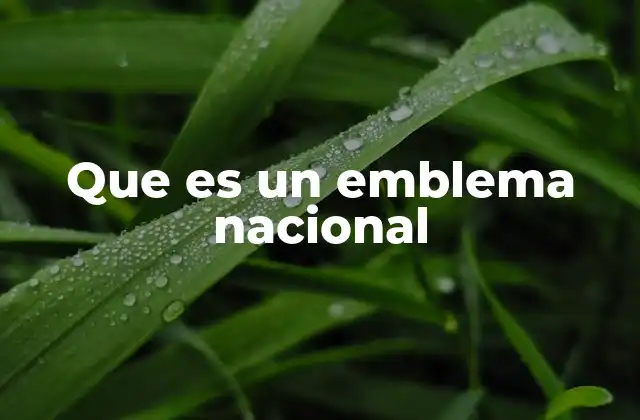 Que es un Emblema Nacional 2 La importancia simbólica de los emblemas nacionales