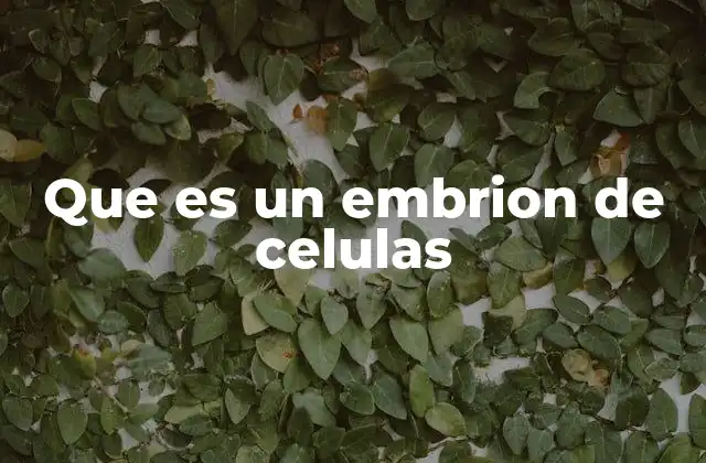 El origen y desarrollo de las células pluripotentes