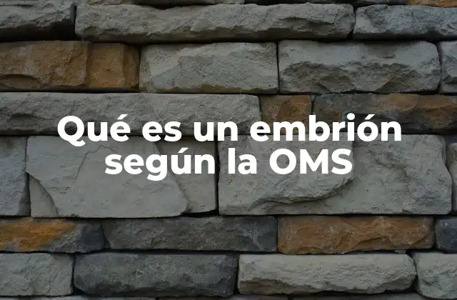 Qué es un Embrión según la Oms