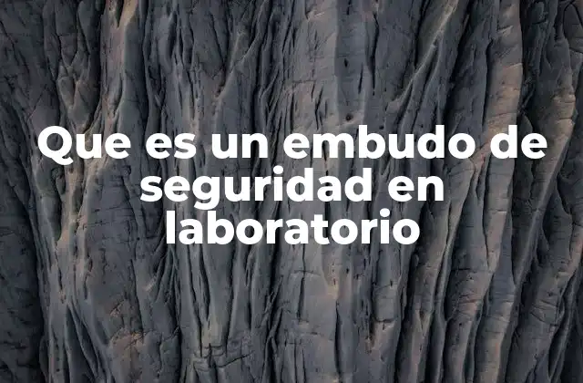 Que es un Embudo de Seguridad en Laboratorio