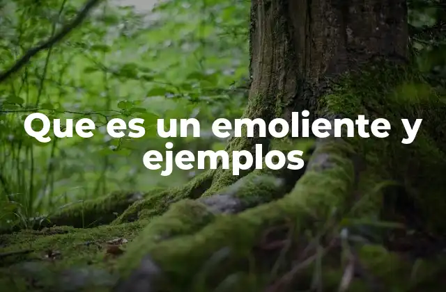 Que es un Emoliente y Ejemplos 2 El papel de los emolientes en la salud de la piel