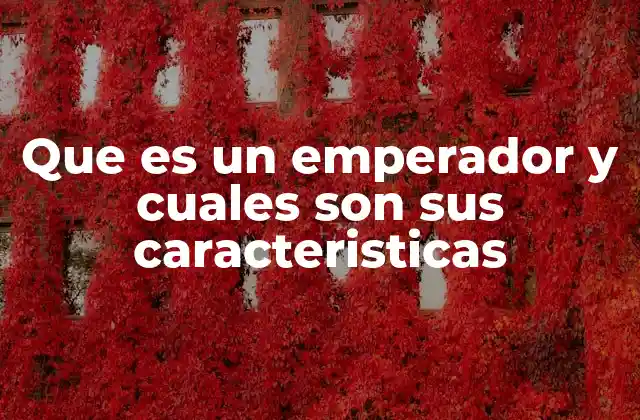 Que es un Emperador y Cuales Son Sus Caracteristicas