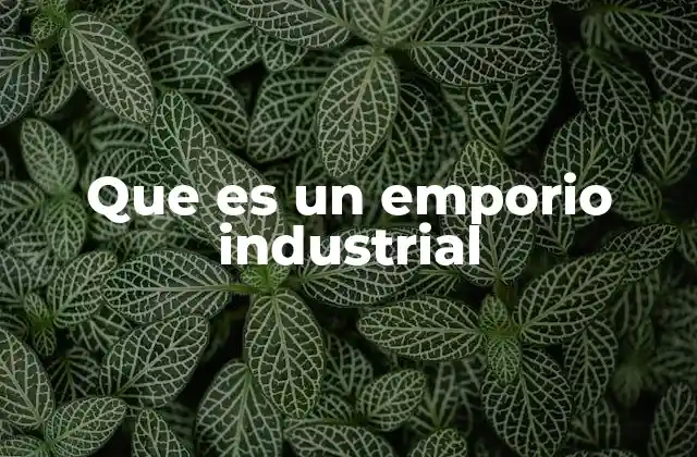Que es un Emporio Industrial