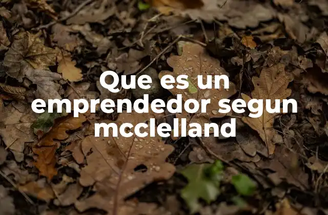 Que es un Emprendedor Segun Mcclelland