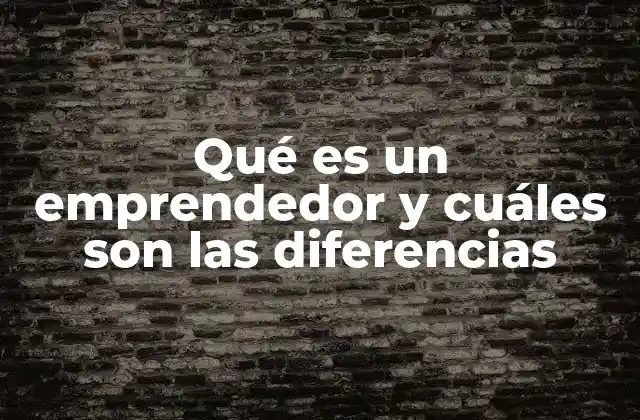 Qué es un Emprendedor y Cuáles Son las Diferencias