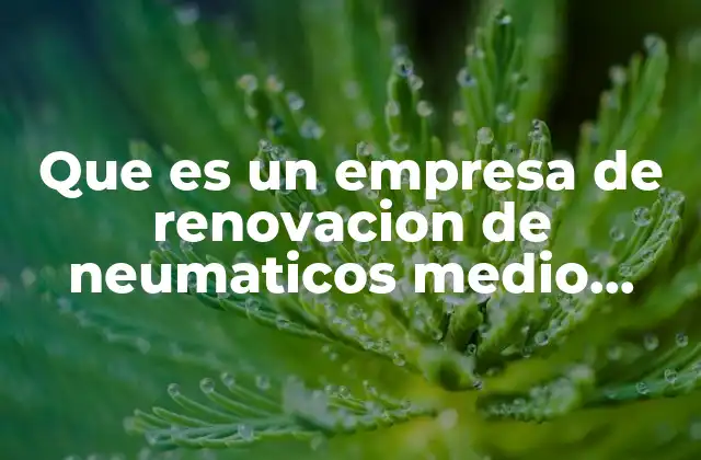 Que es un Empresa de Renovacion de Neumaticos Medio Ambiente