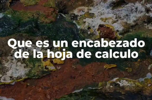 Que es un Encabezado de la Hoja de Calculo 2 La importancia de los encabezados en la organización de datos