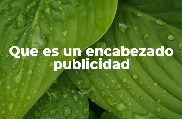 Que es un Encabezado Publicidad