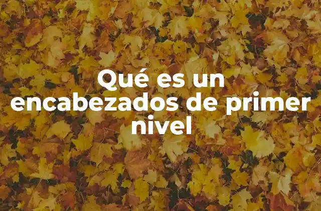 Qué es un Encabezados de Primer Nivel