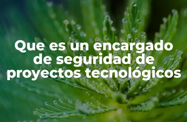 Que es un Encargado de Seguridad de Proyectos Tecnológicos