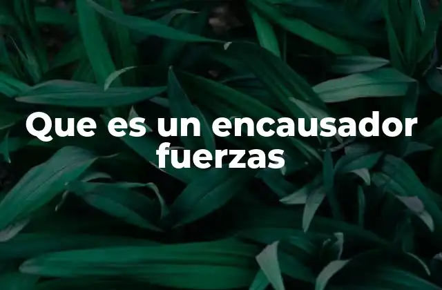 Que es un Encausador Fuerzas