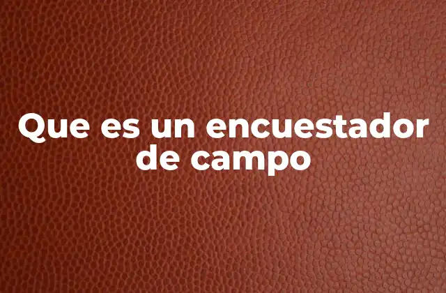 Que es un Encuestador de Campo