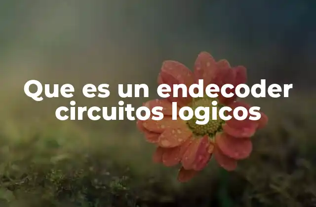 Que es un Endecoder Circuitos Logicos