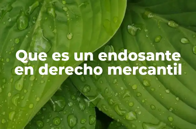 Que es un Endosante en Derecho Mercantil