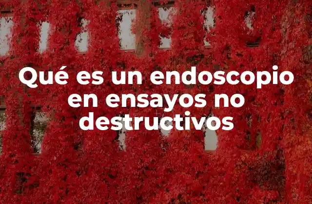 La evolución de la inspección interna sin dañar superficies