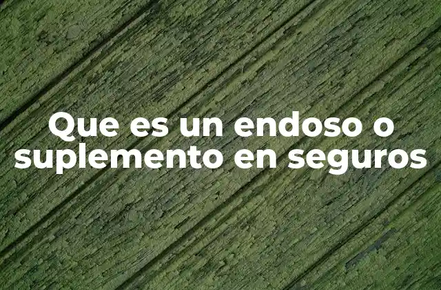 Que es un Endoso o Suplemento en Seguros