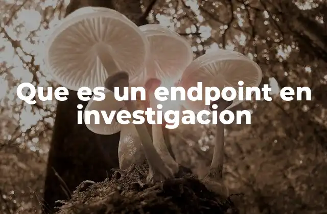 Que es un Endpoint en Investigacion