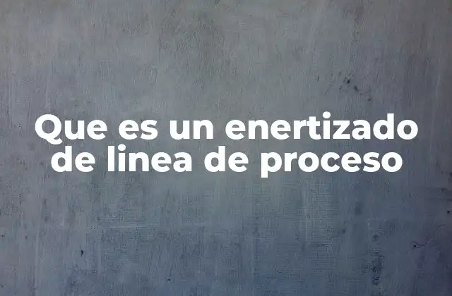 Que es un Enertizado de Linea de Proceso