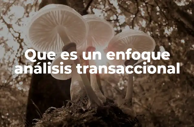 Que es un Enfoque Análisis Transaccional 2 Comprendiendo el funcionamiento de las transacciones humanas