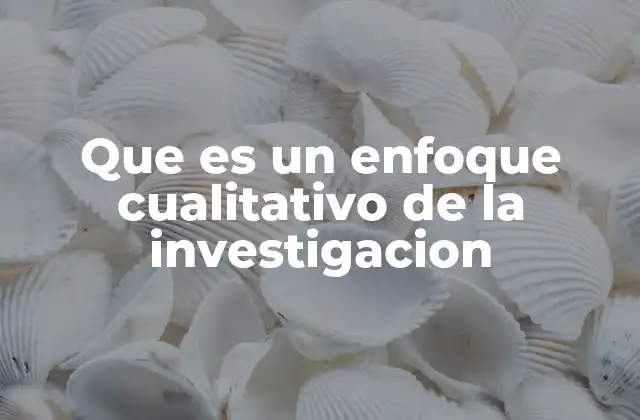 Que es un Enfoque Cualitativo de la Investigacion