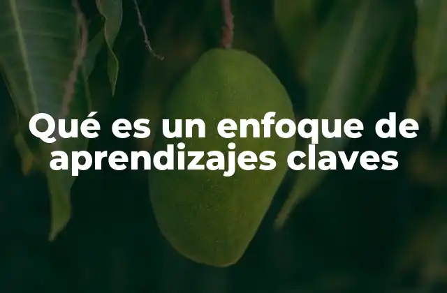 La relevancia del enfoque en la formación integral del estudiante