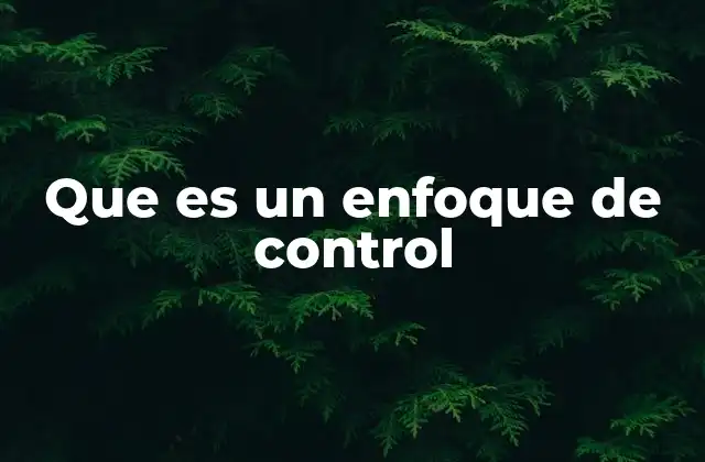 Que es un Enfoque de Control
