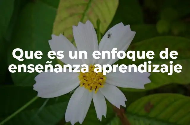 Que es un Enfoque de Enseñanza Aprendizaje
