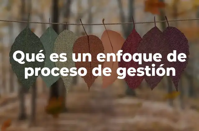 Qué es un Enfoque de Proceso de Gestión