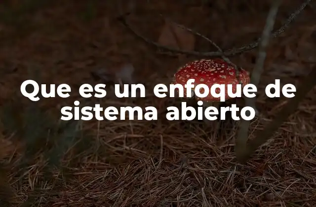 Que es un Enfoque de Sistema Abierto